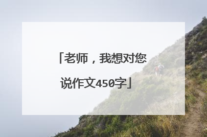 老师，我想对您说作文450字