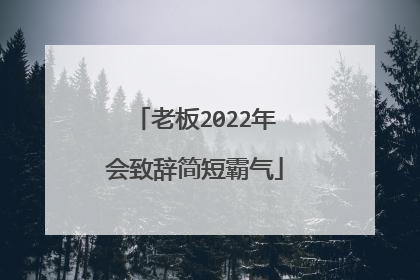 老板2022年会致辞简短霸气