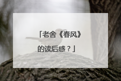 老舍《春风》的读后感？