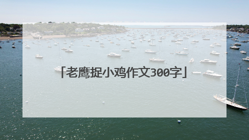 老鹰捉小鸡作文300字