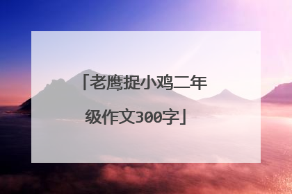 老鹰捉小鸡二年级作文300字