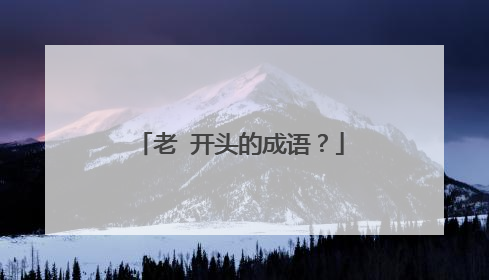 老 开头的成语?