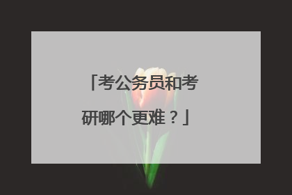 考公务员和考研哪个更难？