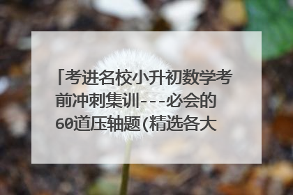 考进名校小升初数学考前冲刺集训---必会的60道压轴题(精选各大名校历年招生真题,覆盖小升初所有考点)