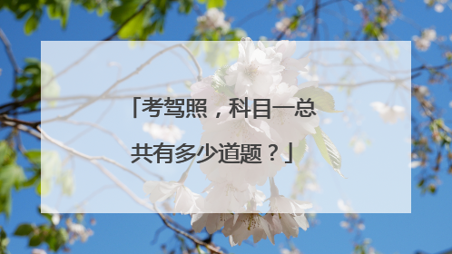 考驾照，科目一总共有多少道题？