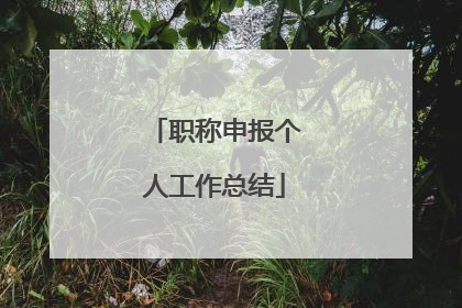 职称申报个人工作总结