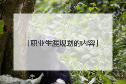 职业生涯规划的内容