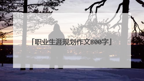 职业生涯规划作文800字