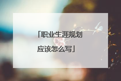 职业生涯规划应该怎么写