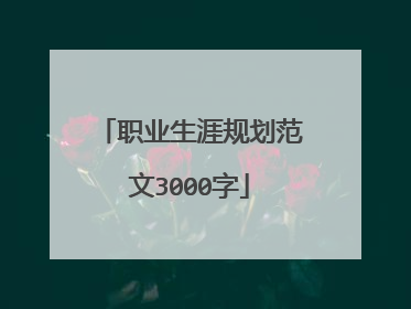 职业生涯规划范文3000字