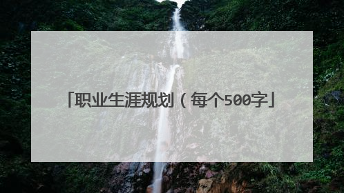 职业生涯规划（每个500字