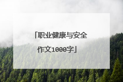 职业健康与安全作文1000字