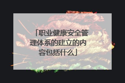 职业健康安全管理体系的建立的内容包括什么