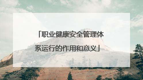 职业健康安全管理体系运行的作用和意义