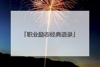 职业励志经典语录
