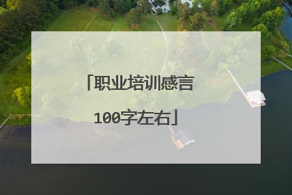 职业培训感言 100字左右