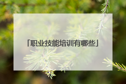 职业技能培训有哪些