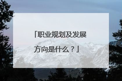 职业规划及发展方向是什么?