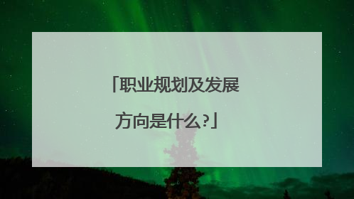 职业规划及发展方向是什么?