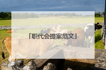 职代会提案范文