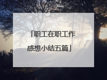 职工在职工作感想小结五篇