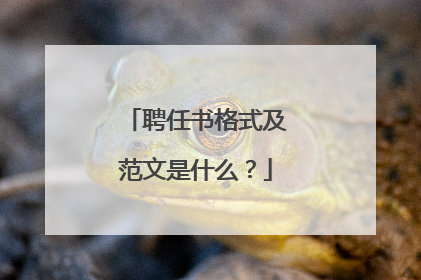 聘任书格式及范文是什么？