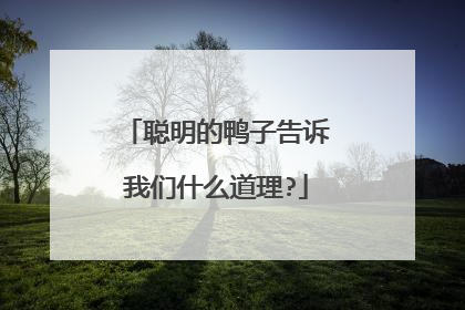 聪明的鸭子告诉我们什么道理?