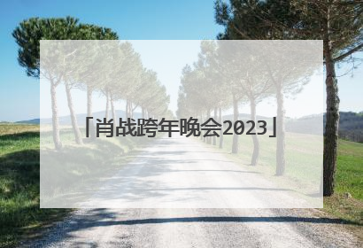 肖战跨年晚会2023