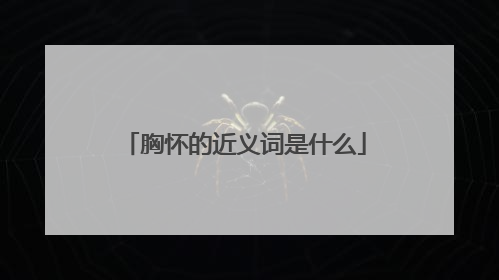 胸怀的近义词是什么