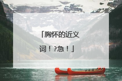 胸怀的近义词！?急！