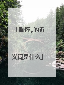 胸怀,的近义词是什么