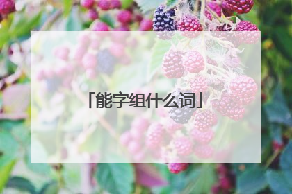 能字组什么词