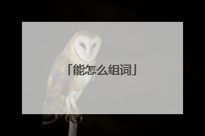 能怎么组词