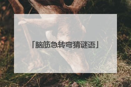 脑筋急转弯猜谜语