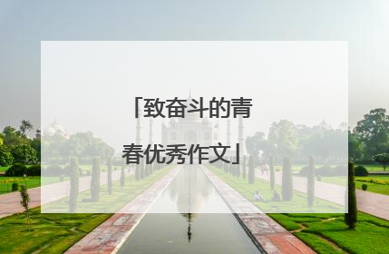 致奋斗的青春优秀作文