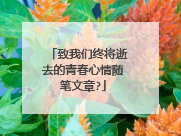 致我们终将逝去的青春心情随笔文章?