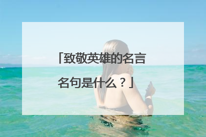 致敬英雄的名言名句是什么？