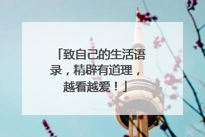 致自己的生活语录,精辟有道理,越看越爱!