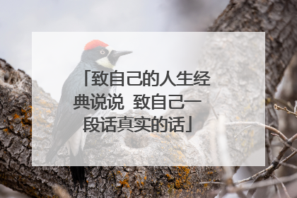 致自己的人生经典说说 致自己一段话真实的话