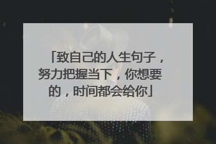 致自己的人生句子,努力把握当下,你想要的,时间都会给你