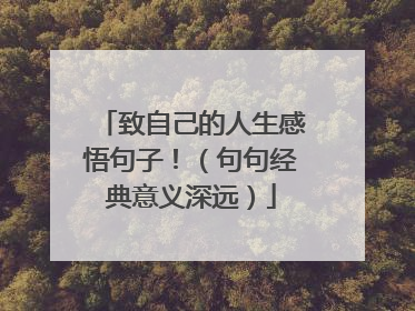 致自己的人生感悟句子！（句句经典意义深远）