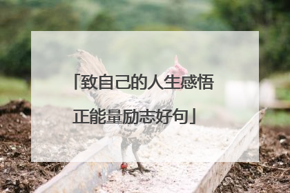 致自己的人生感悟正能量励志好句