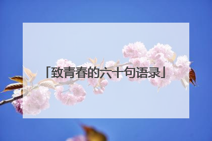 致青春的六十句语录