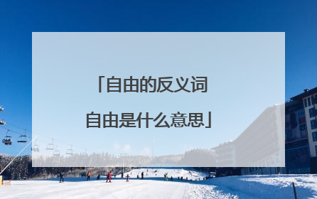 自由的反义词 自由是什么意思