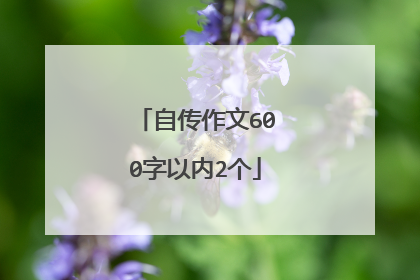 自传作文600字以内2个