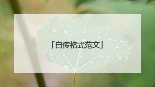 自传格式范文