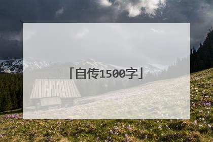 自传1500字