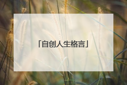 自创人生格言