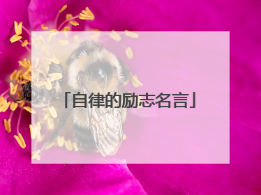 自律的励志名言