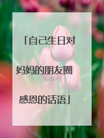 自己生日对妈妈的朋友圈感恩的话语